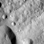 FC21A0012066_11300152835F5M.jpg
