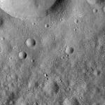 FC21A0012085_11300154058F7M.jpg