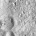 FC21A0012102_11300155309F8M.jpg