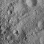 FC21A0012111_11300160420F1M.jpg