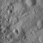 FC21A0012112_11300160425F2M.jpg
