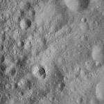 FC21A0012116_11300160454F6M.jpg