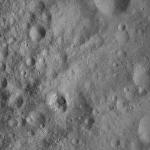 FC21A0012117_11300160501F7M.jpg