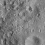 FC21A0012121_11300161034F6M.jpg