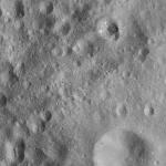 FC21A0012123_11300161047F4M.jpg