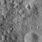 FC21A0012124_11300161053F3M.jpg