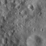 FC21A0012125_11300161059F2M.jpg
