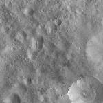 FC21A0012128_11300161625F2M.jpg