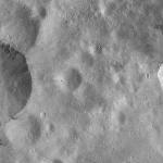 FC21A0012136_11300162229F7M.jpg