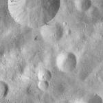 FC21A0012146_11300162844F4M.jpg
