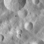 FC21A0012147_11300162851F5M.jpg