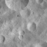 FC21A0012150_11300162912F8M.jpg