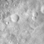 FC21A0012153_11300163441F6M.jpg