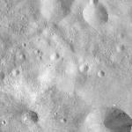 FC21A0012169_11300164641F6M.jpg