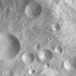 FC21A0012185_11300165832F6M.jpg