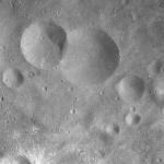 FC21A0012197_11300170505F7M.jpg