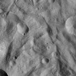 FC21A0012237_11300180504F2M.jpg