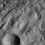 FC21A0012245_11300181659F7M.jpg