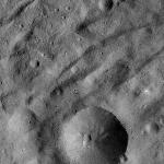 FC21A0012253_11300182903F2M.jpg
