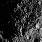 FC21A0012280_11301025842F7M.jpg