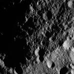 FC21A0012282_11301025854F5M.jpg