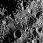 FC21A0012292_11301030701F6M.jpg