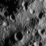 FC21A0012293_11301030708F7M.jpg