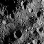 FC21A0012294_11301030716F8M.jpg