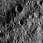 FC21A0012299_11301031457F4M.jpg