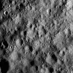 FC21A0012304_11301032234F2M.jpg