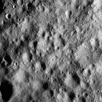 FC21A0012306_11301032249F4M.jpg