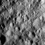 FC21A0012307_11301032257F5M.jpg