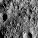 FC21A0012311_11301032829F8M.jpg