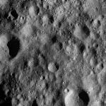 FC21A0012312_11301032838F7M.jpg