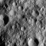 FC21A0012313_11301032844F6M.jpg