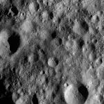 FC21A0012316_11301032904F3M.jpg