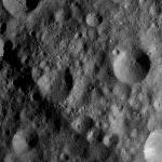 FC21A0012320_11301033437F2M.jpg