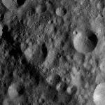 FC21A0012321_11301033444F3M.jpg