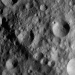 FC21A0012322_11301033450F4M.jpg