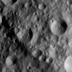 FC21A0012323_11301033456F5M.jpg