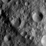 FC21A0012324_11301033502F6M.jpg