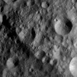 FC21A0012326_11301033517F8M.jpg