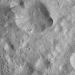 FC21A0012383_11301042229F8M.jpg