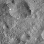 FC21A0012384_11301042238F7M.jpg
