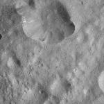 FC21A0012385_11301042245F6M.jpg