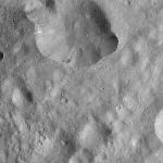 FC21A0012386_11301042251F5M.jpg