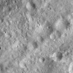 FC21A0012394_11301042845F4M.jpg