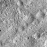 FC21A0012395_11301042851F5M.jpg