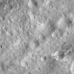 FC21A0012397_11301042906F7M.jpg