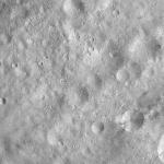 FC21A0012398_11301042915F8M.jpg